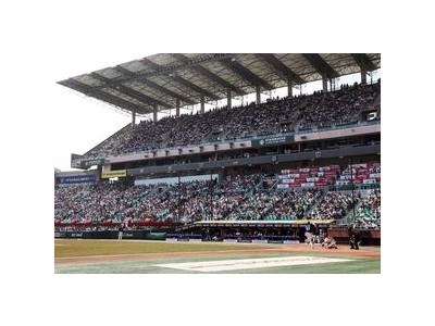 SSG 만원 관중 기록에 팬들 환호