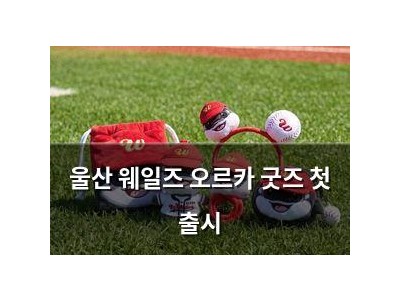 울산 웨일즈 오르카 굿즈 첫 출시