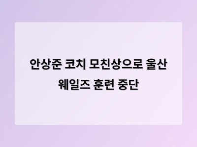 안상준 코치 모친상으로 울산 웨일즈 훈련 중단