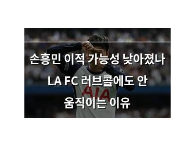 손흥민 이적 가능성 낮아졌나 LA FC 러브콜에도 안 움직이는 이유