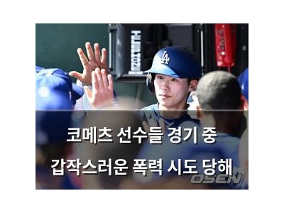 코메츠 선수들 경기 중 갑작스러운 폭력 시도 당해