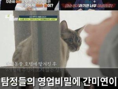 탐정들의 영업비밀에 간미연이 출격