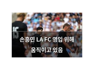 손흥민 LA FC 영입 위해 움직이고 있음