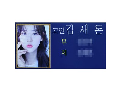 김새론 25세로 사망 동료들 추모 이어져