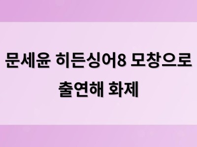 문세윤 히든싱어8 모창으로 출연해 화제